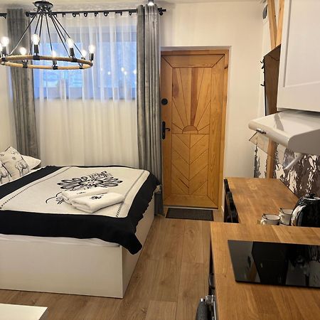 Apartament Small Czarny Potok 克雷尼察 外观 照片